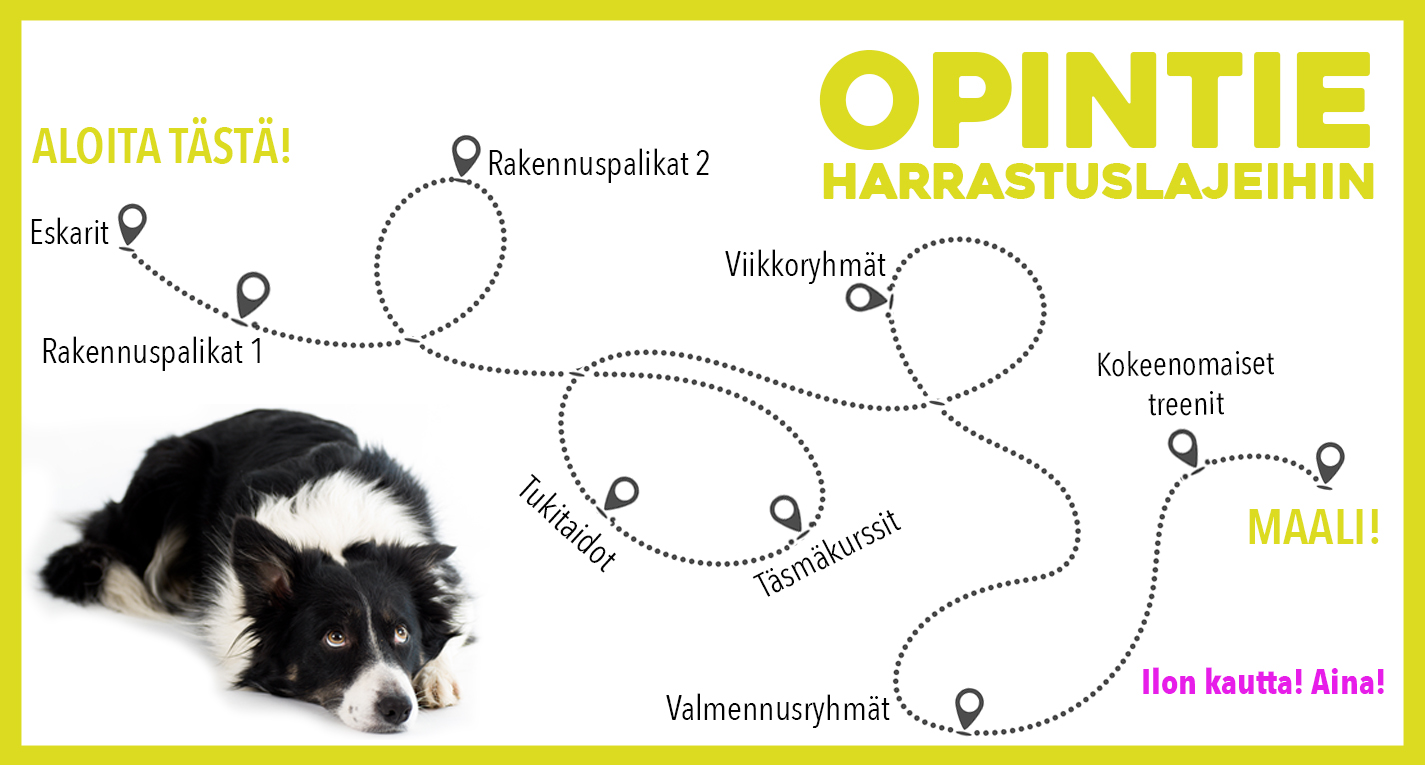 Kokeenomaiset treenit Kokeenomaiset treenit
