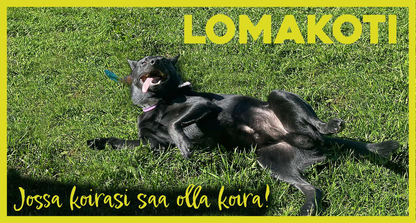 Lomakoti UUTUUS! Lomakoti UUTUUS!