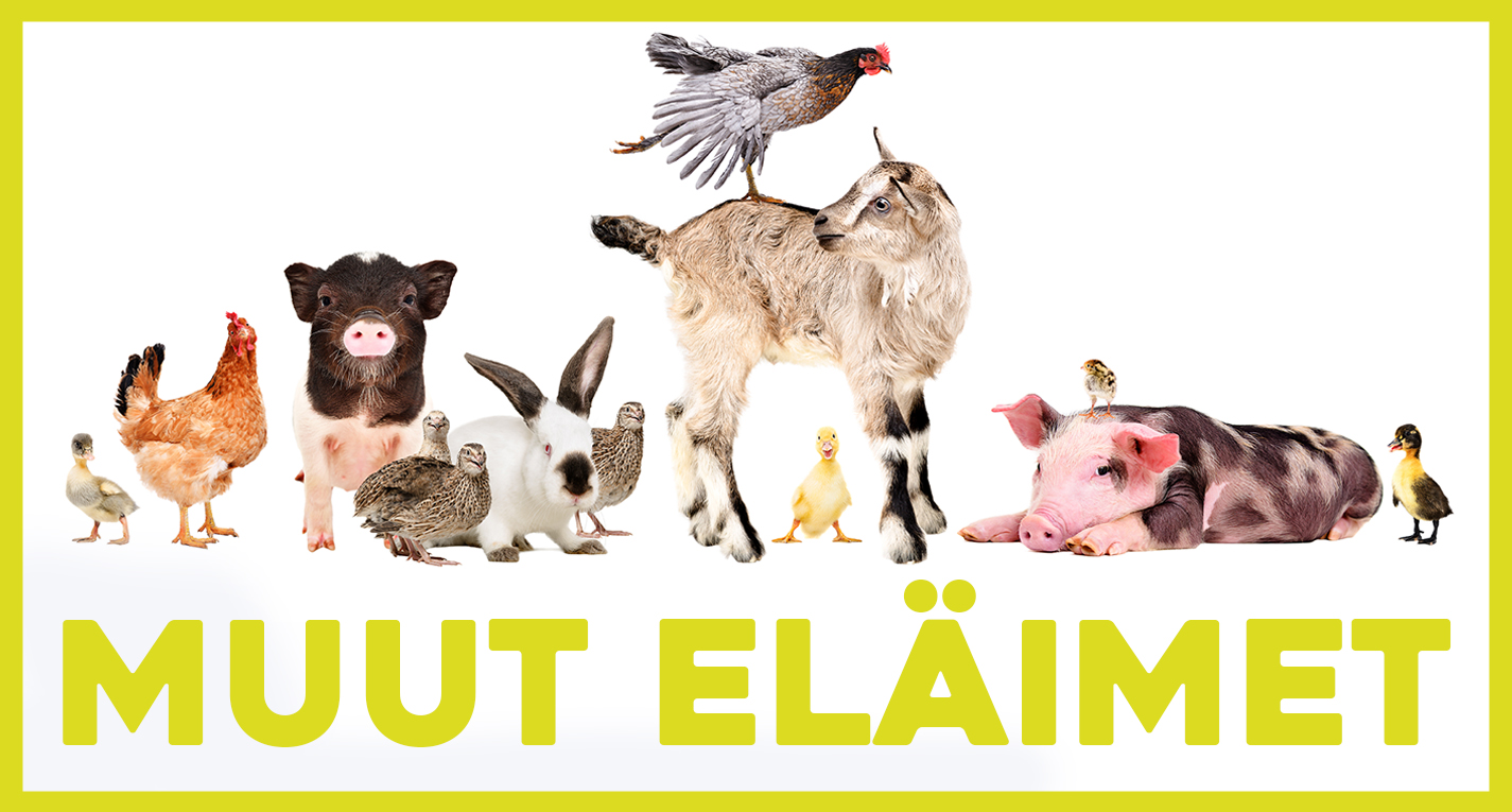 Muut eläimet Muut eläimet