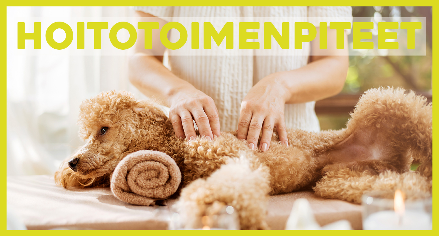Hoitotoimenpiteet Hoitotoimenpiteet
