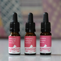 Eukalyptus-hydrolaatti – 3 x 10 ml