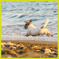 Luotettava luoksetulo - 5 virhettä!