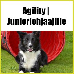 Agility | Junioriohjaajille