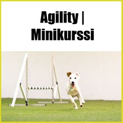 Agility minikurssi