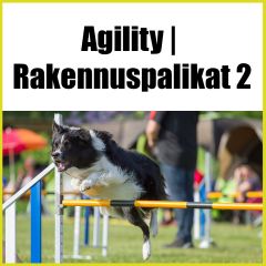 Agility | Rakennuspalikat 2 - agilityn jatkokurssi