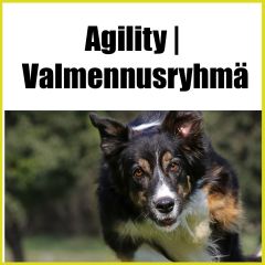 Agility | Valmennusryhmä