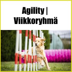 Agility | Viikkoryhmä