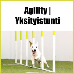 Agility | Yksityistunti