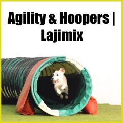 Lajimix | Agility & Hoopers