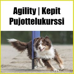 Agility | Kepit - pujottelukurssi