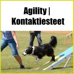 Agility | Kontaktiesteet