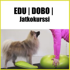 EDU | Dobo | Jatkokurssi 