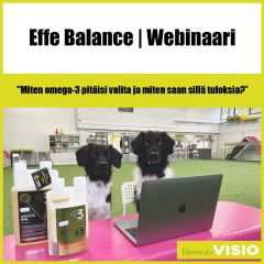 Effe Balance | Webinaari