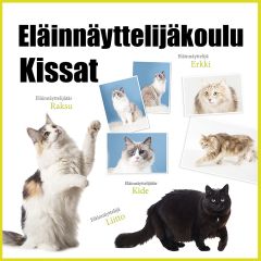 Eläinnäyttelijäkoulu - kissat