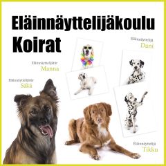 Eläinnäyttelijäkoulu - koirat