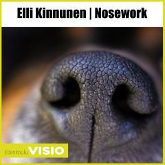 Nosework | Elli Kinnusen koulutuspäivä