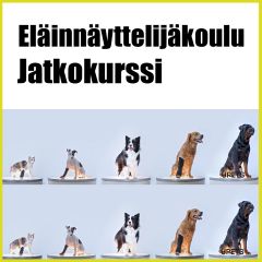 Eläinnäyttelijäkoulu | Jatkokurssi