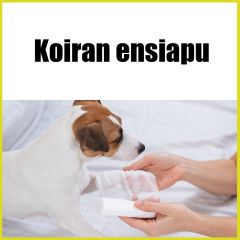 Koiran ensiapu
