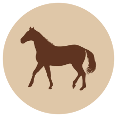 F-animal Hevonen jauhettu luuton 500 g