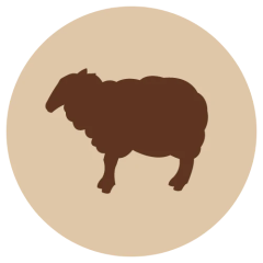 F-animalin luuton jauhettu lammas, kotimaista raakatuokaa. Suomalaista raakaruokaa, suomalaiselta perheyritykseltä, suomalaisena käsityönä.