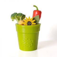 Sodapup Flower Pot