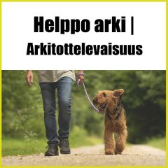 Helppo Arki | Arkitottelevaisuus