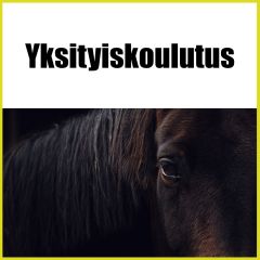 Sari Paavilainen | Yksityiskoulutus | hevoset