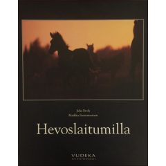 Hevoslaitumilla