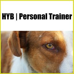 HYB | Personal Trainer
