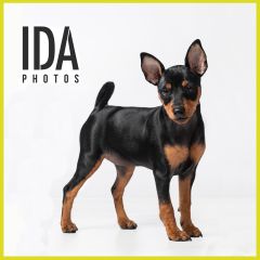 Ida Photos Valokuvaus