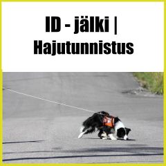 LIVE | ID-jälki | Osa 1 Hajutunnistus