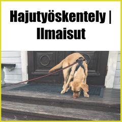 Hajutyöskentely | Ilmaisut