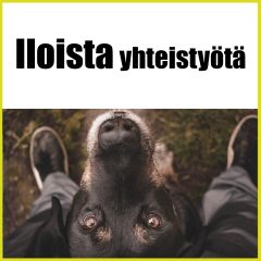 Iloista Yhteistyötä