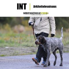 INT | Arkitottelevaisuus