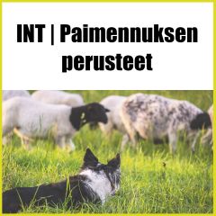 INT Paimennuksen perusvalmiudet