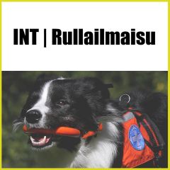 INT: Rullailmaisu