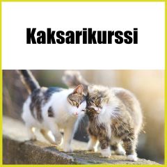 Kaksarikurssi | Kissat