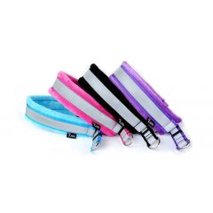 Kana Collection Shine-panta