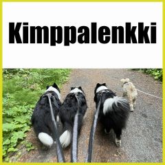 Kimppalenkki