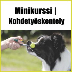 Kohdetyökalut tutuksi | Minikurssi