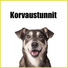 Korvaustunnit