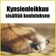 Kynsienleikkuu