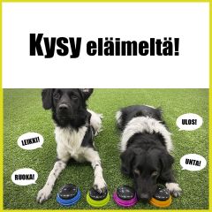 Kysy eläimeltä!