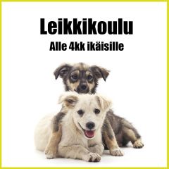 Tervetuloa leikkimään! Se on hauskaa, opettavaista ja tekee hyvää motoriikalle! 