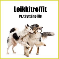 Leikkitreffit