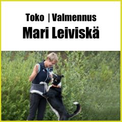 Toko | Mari Leiviskän valmennus