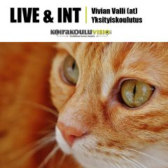 LIVE & INT: Vivian Valli | Yksityiskoulutus | kissat