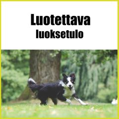 Luotettava luoksetulo