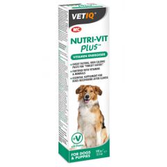 Vetiq Nutri-Vit Plus 100g energia/vitamiinilisä koiralle 
