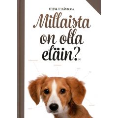 Millaista on olla eläin?